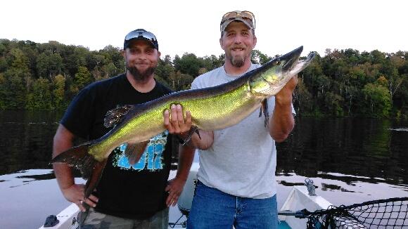 Great first musky! Rusk Co.