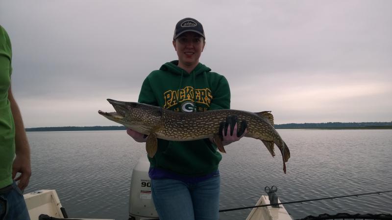 Sudden Impact guide service