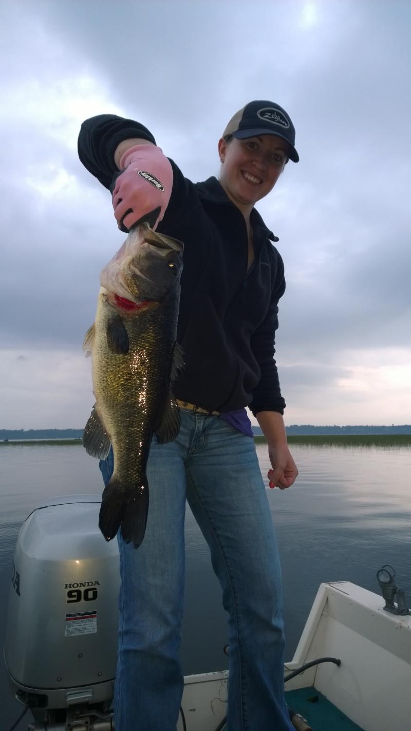 Sudden Impact guide service